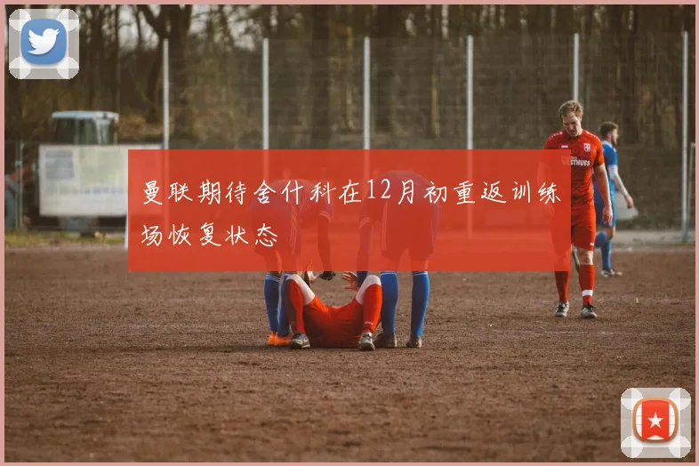 曼联期待舍什科在12月初重返训练场恢复状态
