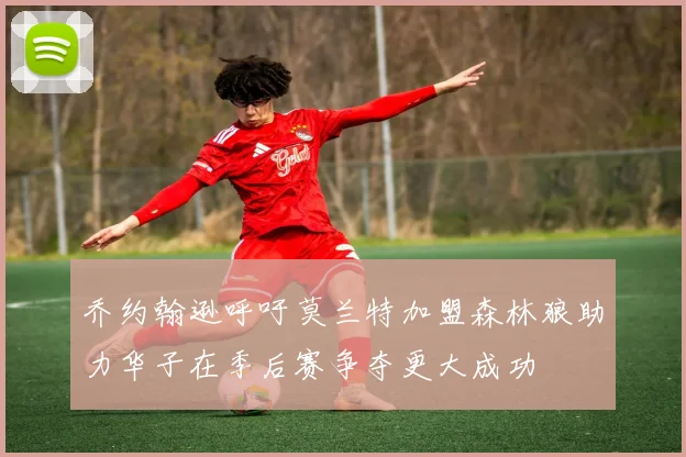 乔约翰逊呼吁莫兰特加盟森林狼助力华子在季后赛争夺更大成功