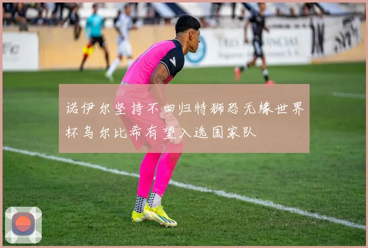 诺伊尔坚持不回归特狮恐无缘世界杯乌尔比希有望入选国家队