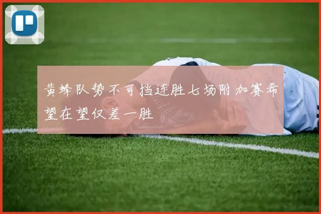 黄蜂队势不可挡连胜七场附加赛希望在望仅差一胜